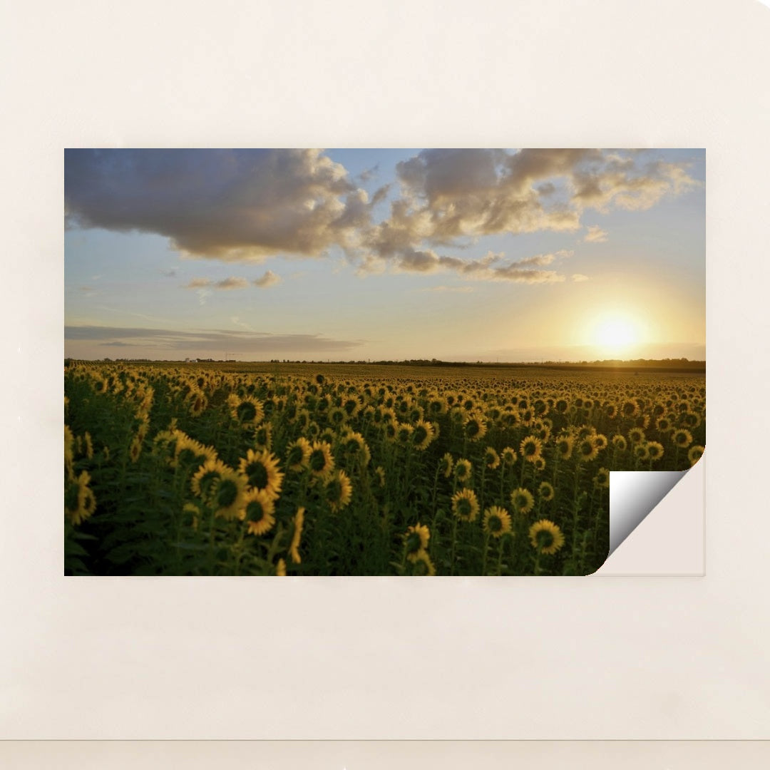 7090290163747 - Product Image