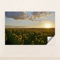 7090290163747 - Product Image