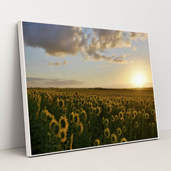 7090290163747 - Product Image