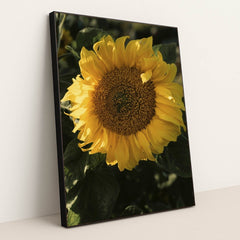 7090332565539 - Product Image