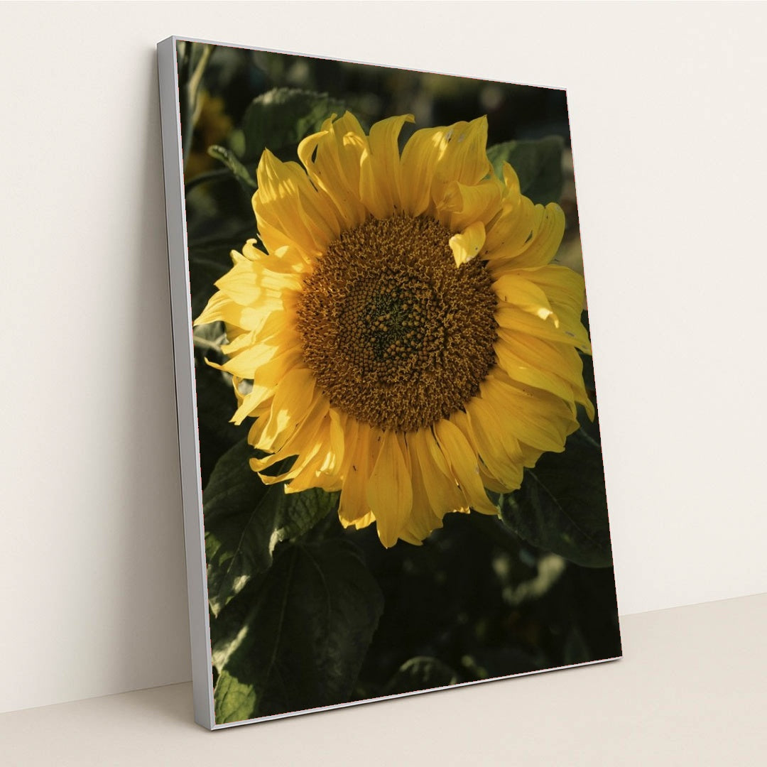 7090332565539 - Product Image