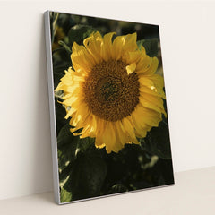 7090332565539 - Product Image