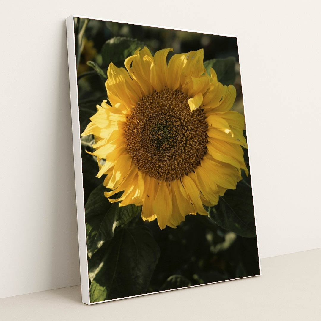 7090332565539 - Product Image