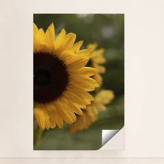 7090254577699 - Product Image