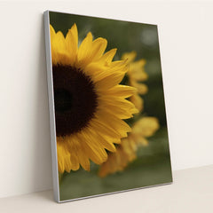 7090254577699 - Product Image