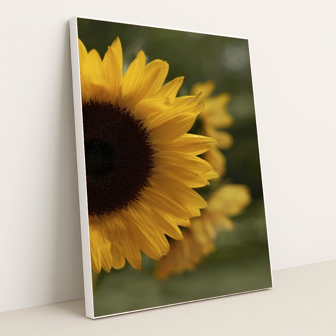 7090254577699 - Product Image