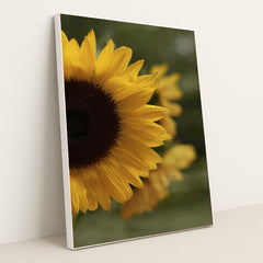 7090254577699 - Product Image