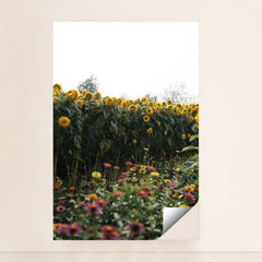 7090334826531 - Product Image