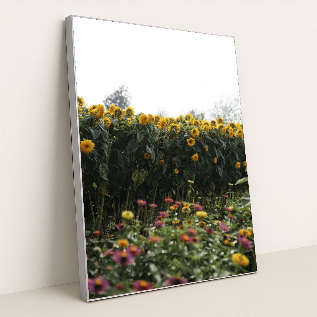 7090334826531 - Product Image