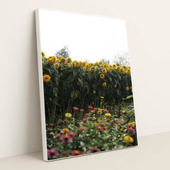 7090334826531 - Product Image