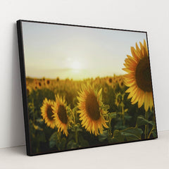 7090295767075 - Product Image