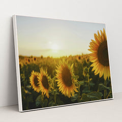 7090295767075 - Product Image