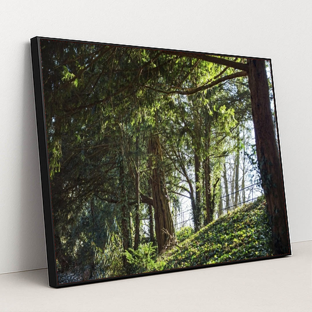 7090296389667 - Product Image