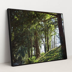 7090296389667 - Product Image