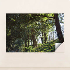 7090296389667 - Product Image