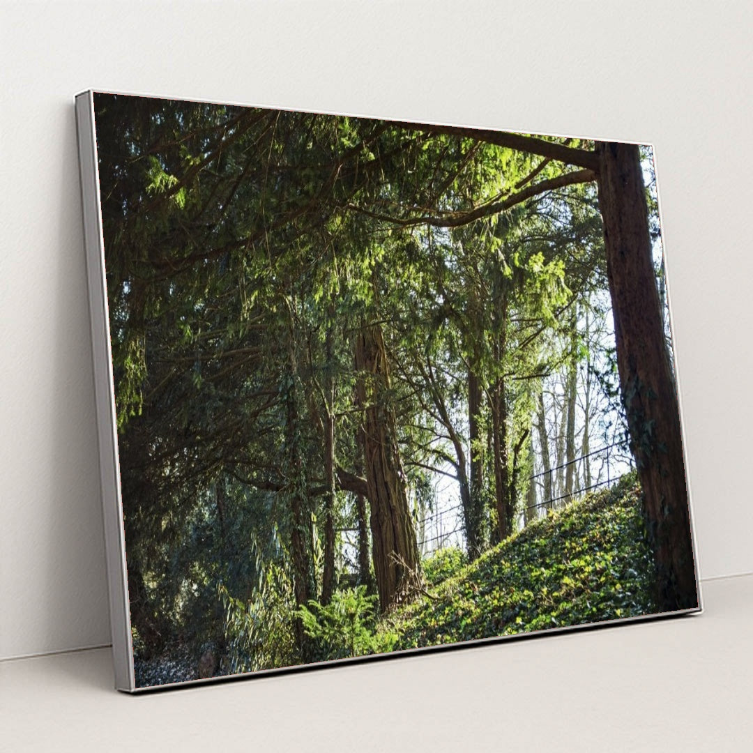 7090296389667 - Product Image