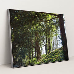 7090296389667 - Product Image