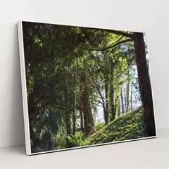 7090296389667 - Product Image