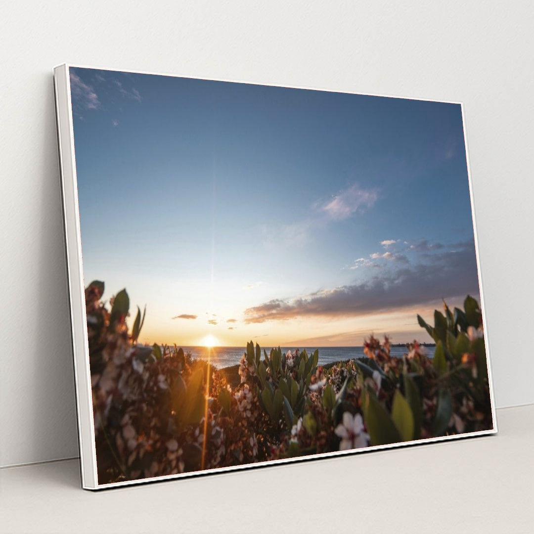 7090255986723 - Product Image