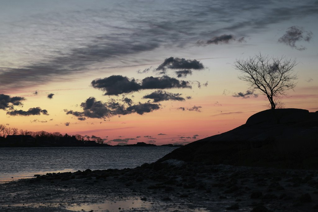 David Kanigan - A tranquil winter sunrise at Cove Island Park, Stamford, Connecticut, with a lone tree silhouette and bright sky hues.