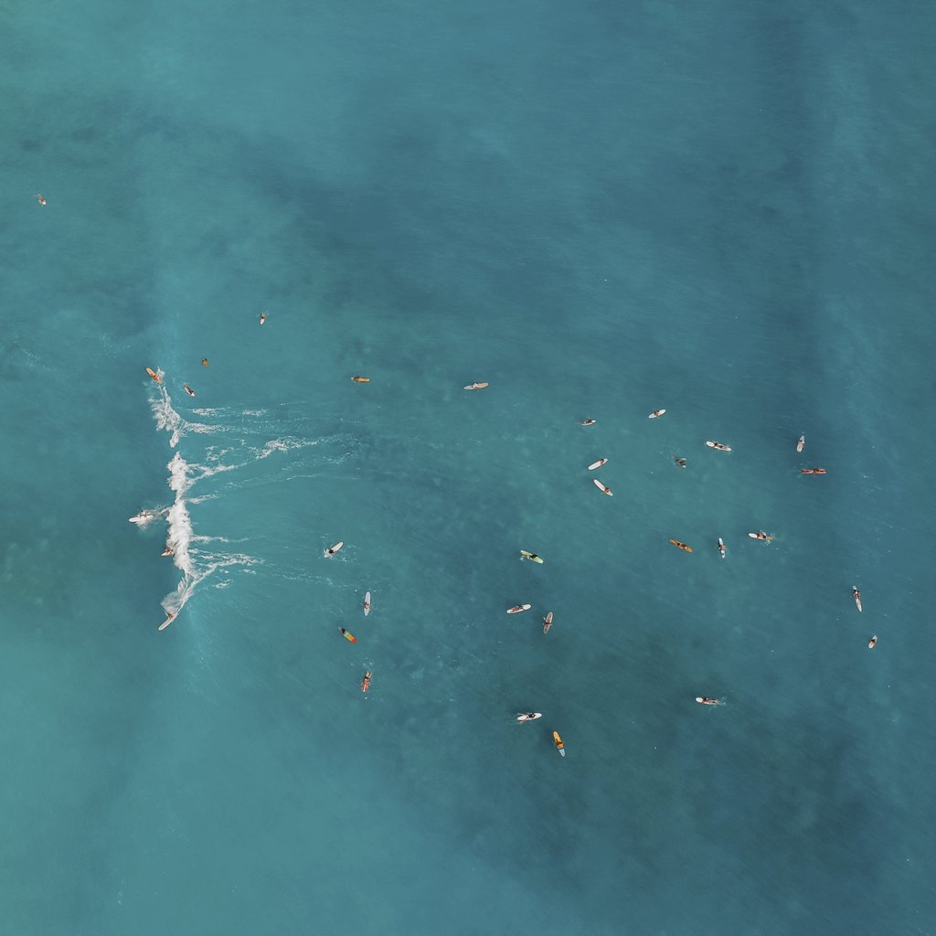 Jess Loiterton - Aerial view capturing surfers in the vibrant turquoise waters of Waikiki, Hawaii.