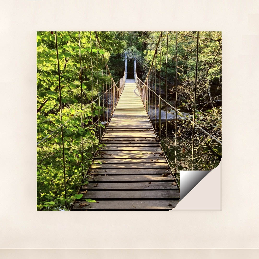 7090227118115 - Product Image