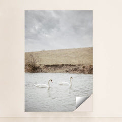 7090357731363 - Product Image