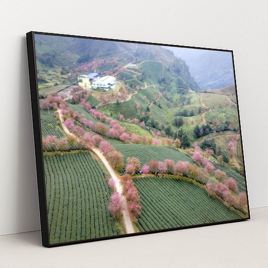 7090294128675 - Product Image