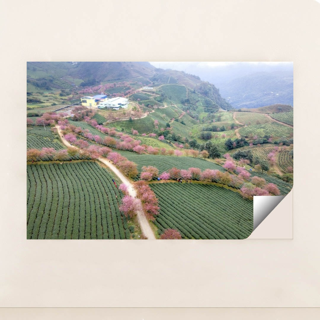 7090294128675 - Product Image