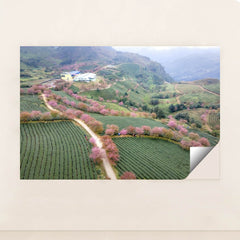 7090294128675 - Product Image