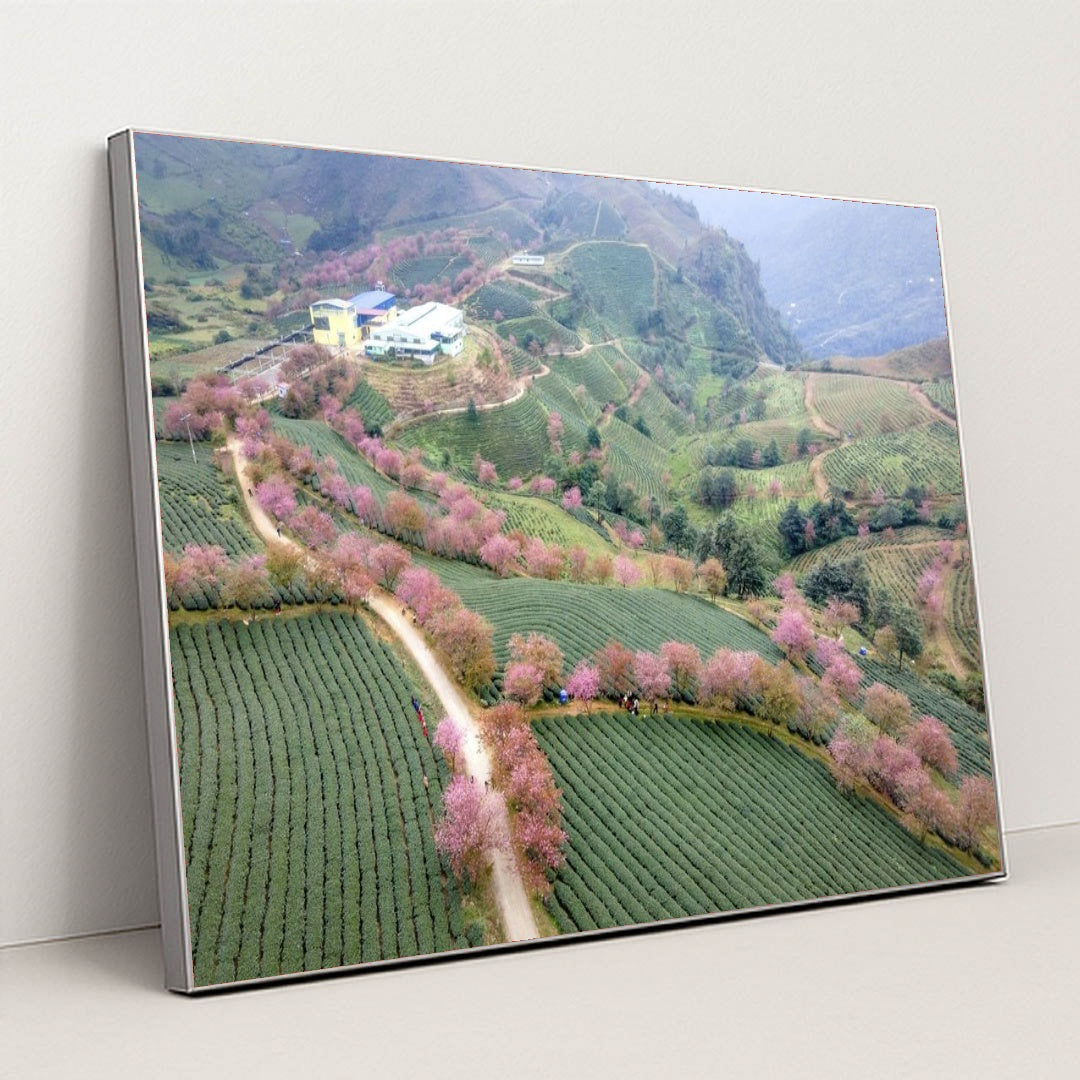 7090294128675 - Product Image