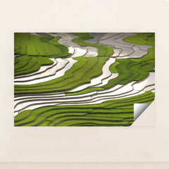 7090210930723 - Product Image