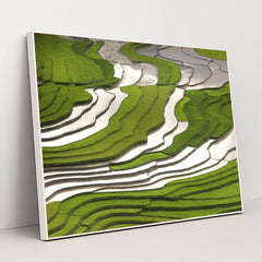 7090210930723 - Product Image