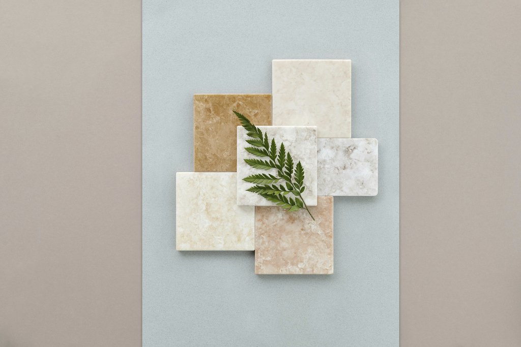 Edward Jenner - A minimalist flat lay of marble tiles on a gray surface featuring a green fern leaf.