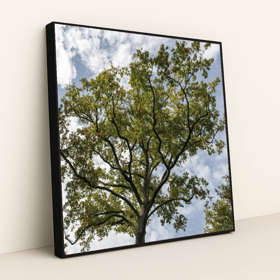 7090691997731 - Product Image