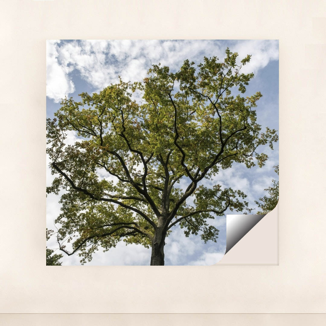 7090691997731 - Product Image