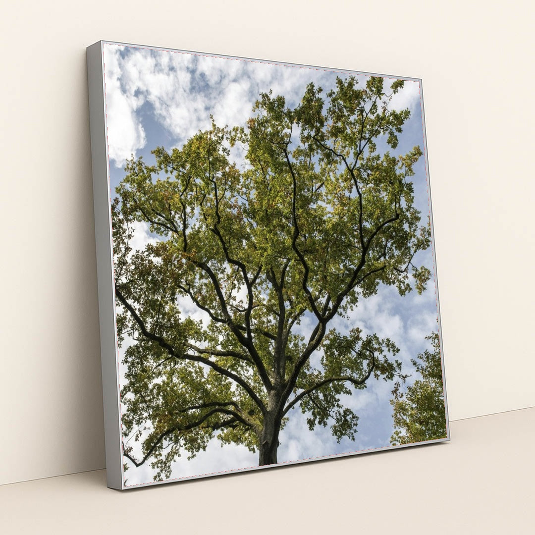 7090691997731 - Product Image