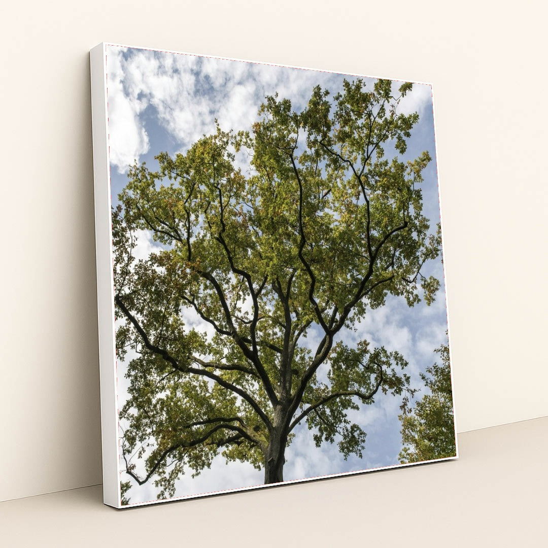 7090691997731 - Product Image