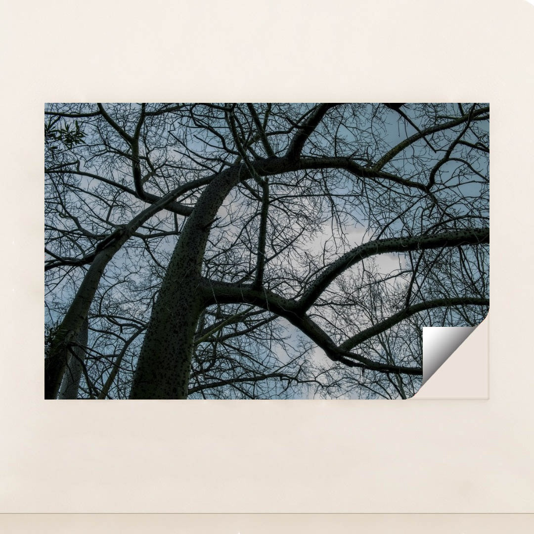 7090354749475 - Product Image