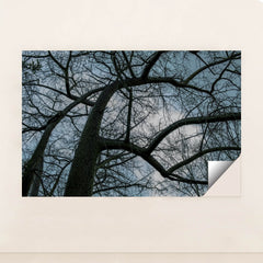 7090354749475 - Product Image