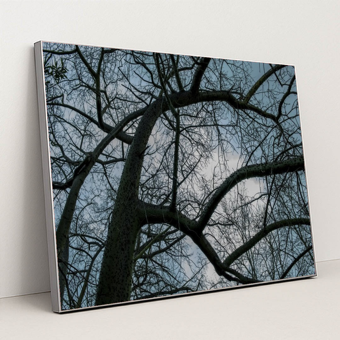 7090354749475 - Product Image