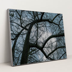 7090354749475 - Product Image