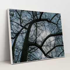 7090354749475 - Product Image