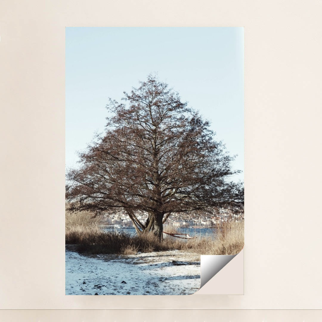 7090780373027 - Product Image