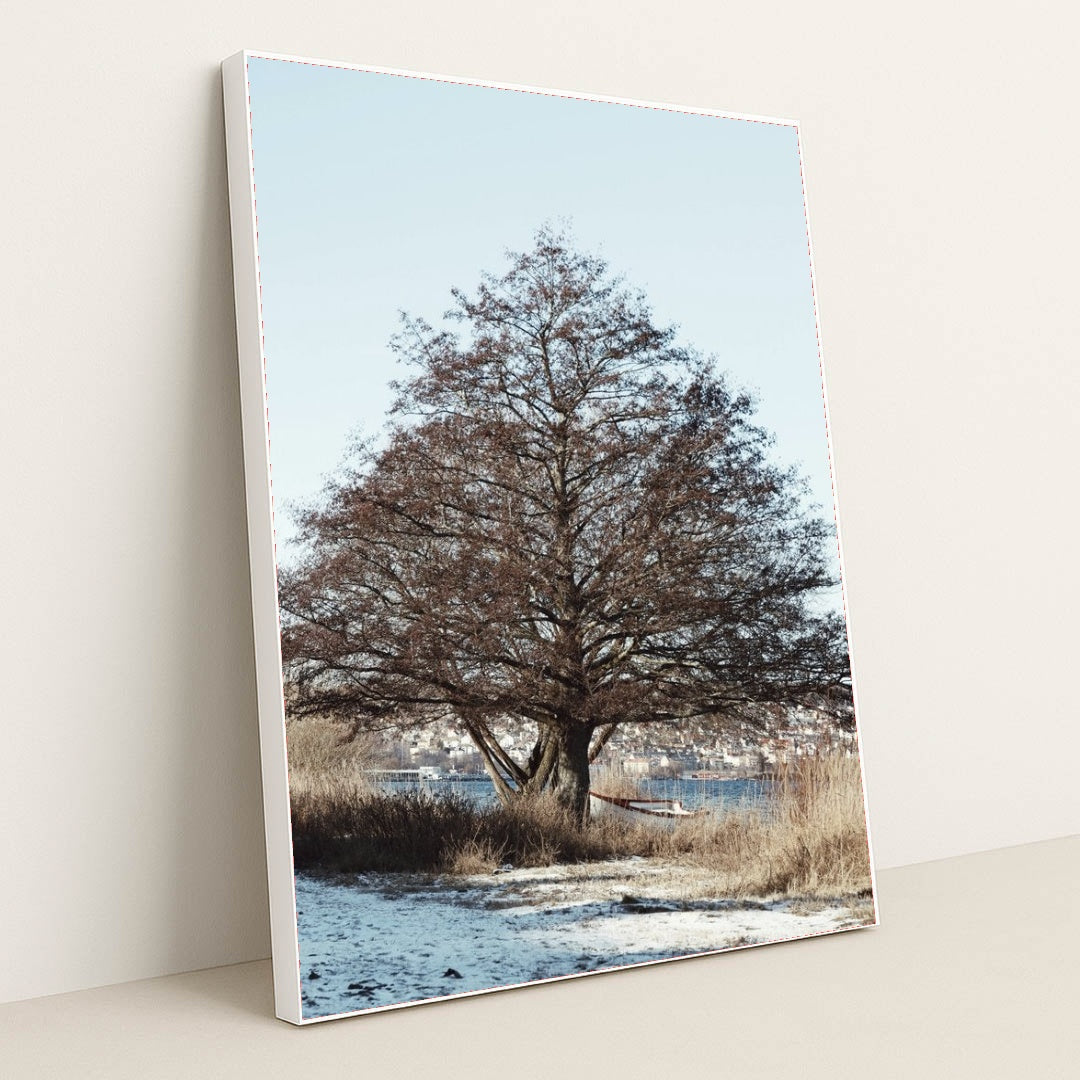 7090780373027 - Product Image