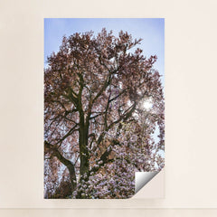 7090295799843 - Product Image