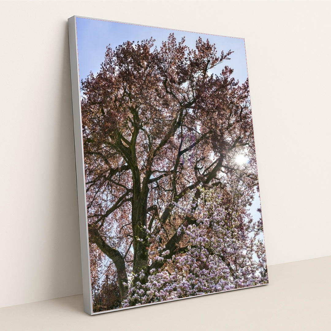 7090295799843 - Product Image