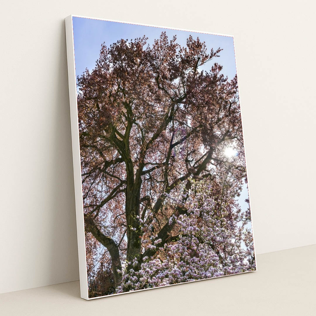 7090295799843 - Product Image