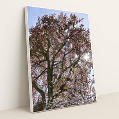 7090295799843 - Product Image