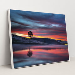 7090356060195 - Product Image